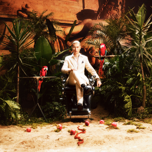 一级视频免费观看
